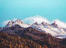 足球直播-北京国安新帅：将带着对胜利的渴望出发